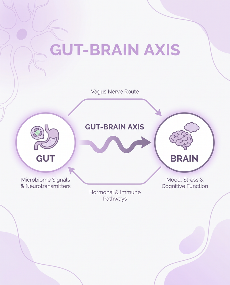 The Hidden Gut Connection: What Traditional Chinese Medicine Says About Digestion and Emotions