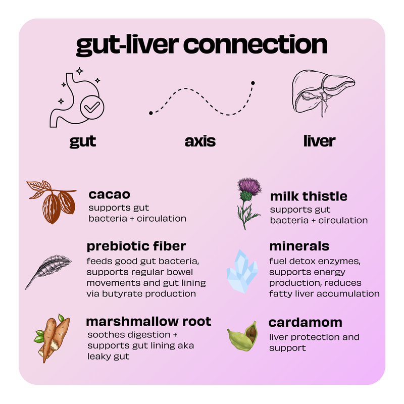 Why Minerals Are the Missing Piece in Liver Detox (And Why “Detoxes” Often Fail)