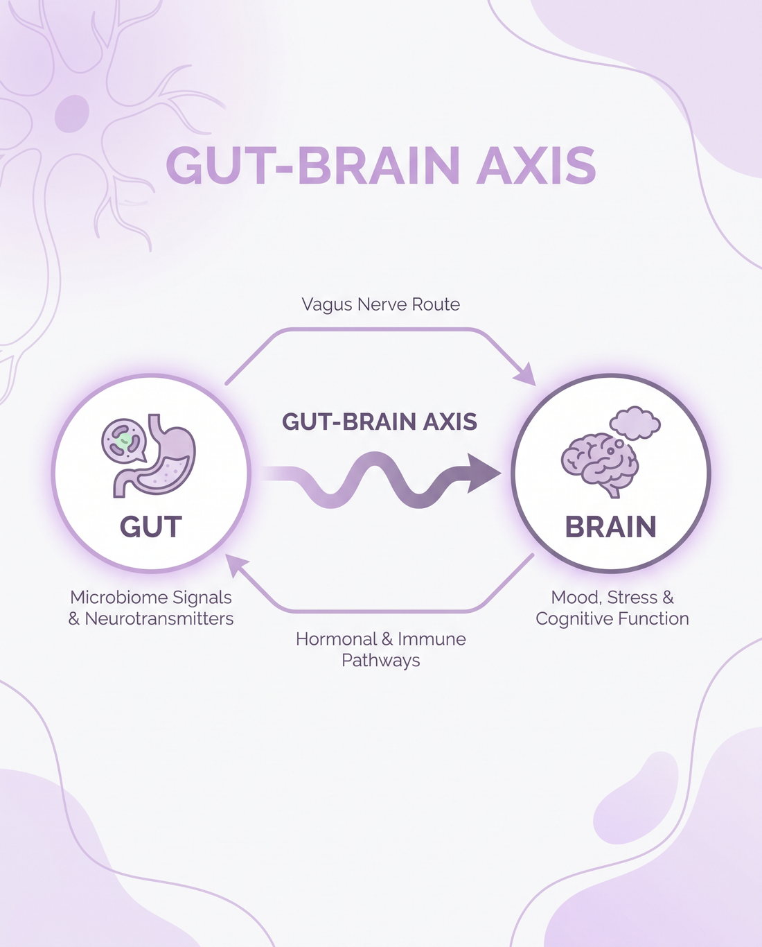 The Hidden Gut Connection: What Traditional Chinese Medicine Says About Digestion and Emotions